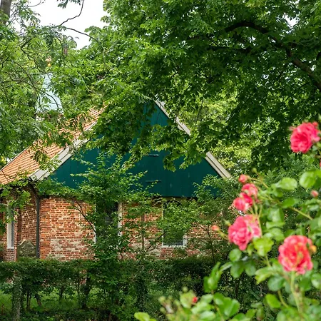 Arche Svea Lerche Apartmán Spiekeroog