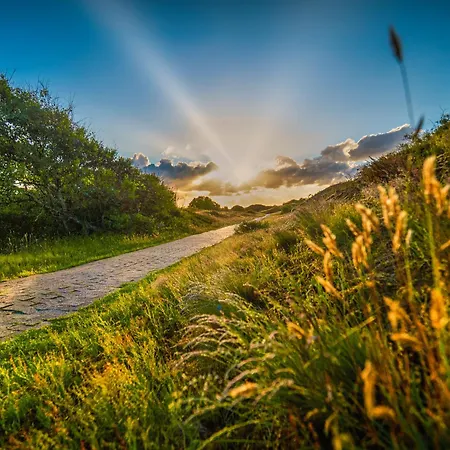 Arche Svea Lerche Apartmán
